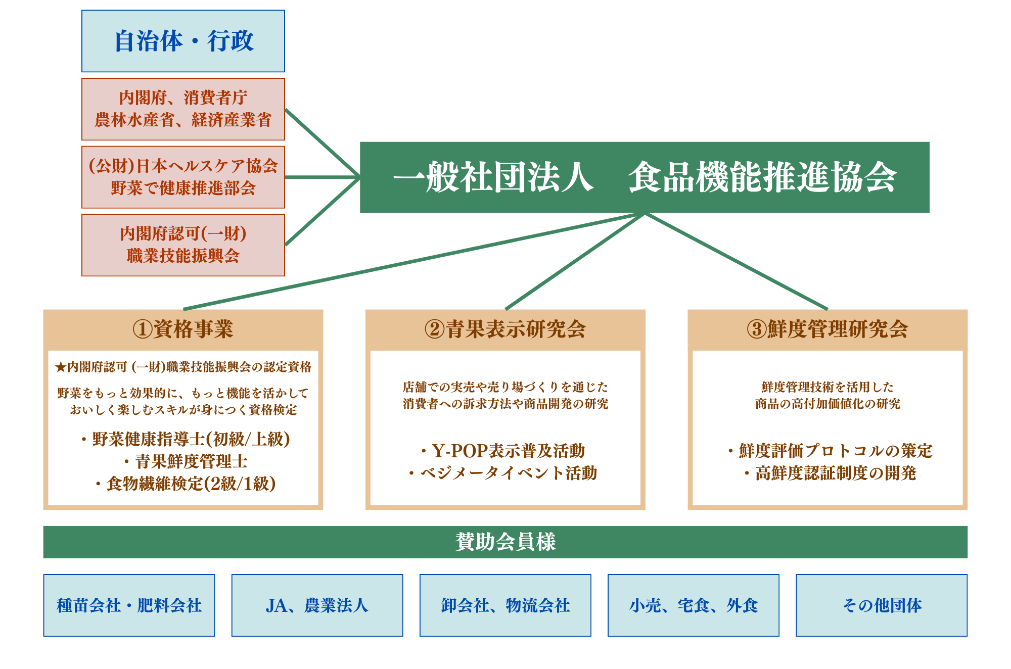 食品機能推進協会活動概要図